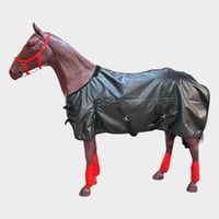 جلال خيل (وطني)