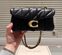 اسود بشعار ذهبي