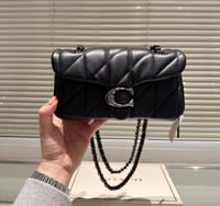 اسود بشعار فضي