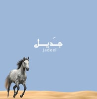 جــَـديل  Braid