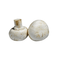 فطر ابيض - علبة