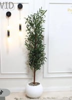 شجرة الزيتون الصناعية