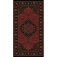 سجاد بوهيمي بلجيكي بلخ