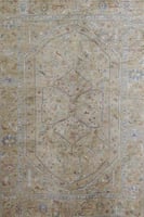 سجاد فسكونتي