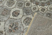 سجاد نيو اليجانس