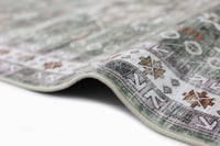 3.00X4.00 اخضر DESIGN فيلورا HSPXT-BS1210- 01 سجاد