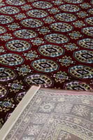 سجـــاد الثــمامة