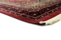 سجاد بلخ سدو بلجيكي