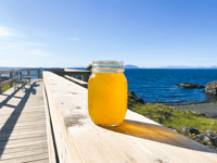 اعشاب الكركم و الجنزبيل