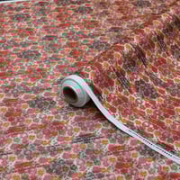 قطن العمودي صيفي وبارد