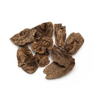 سيلاني قواقع - غابات ادمز