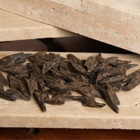 تايقر كمبودي