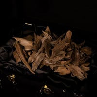 موروكي آصقون حي دبل كنج