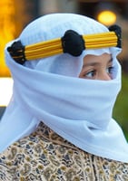 دقلة العرضه النجديه