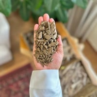 عود موروكي - محسن