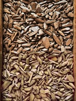 عود موروكي - محسن