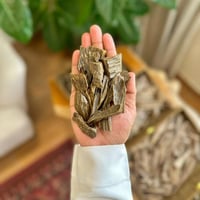 عود كلمنتان - محسن