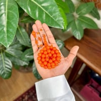 مسباح فاتوران مشمشي تمليكة