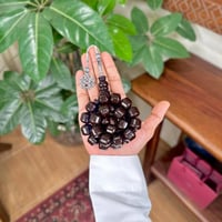 مسباح زعفراني حرباء راهي