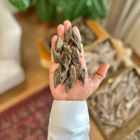 عود تايجر - محسن