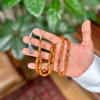 مسباح فاتوران بني صنوبري