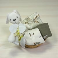 هدية مولود جونيور