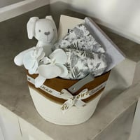 هدية توأم مواليد