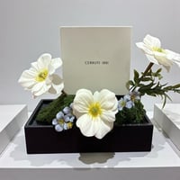 كبك شيروتي هدية رجالية فاخرة