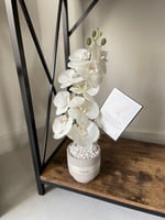 جلسة تصوير هدية مولود/ة مع فازة ورد صناعي اوركيد