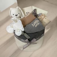 هدية مولود نكست