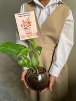 نبتة طبيعية مع كرت يوم المعلم