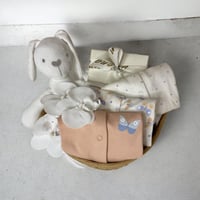 هدية مولودة مذركير