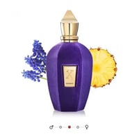 اكسيرجوف اكسينتو برفيوم 100مل