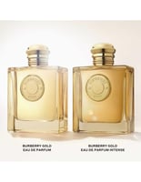 بربري جولد أنتنس 100مل