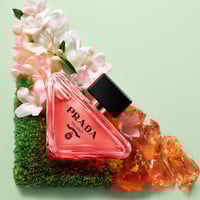 برادا برادوكس انتنس