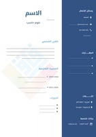 سيرة ذاتية نموذج 2