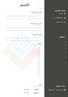 سيرة ذاتية نموذج 4