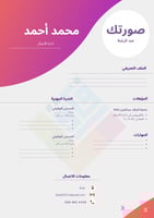 سيرة ذاتية نموذج 6