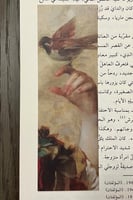 فاصل كتاب IIV