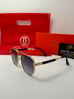 نظارة ماركة كارتير