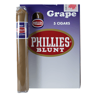 سيجار تيتان فيليس عنب