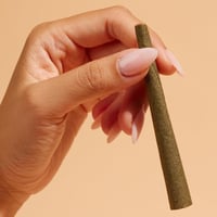 ورق زيق زاق اصفر / الليمون الايطالي - ملفوف جاهز (...