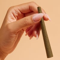 ورق زيق زاق احمر / الكيكة - ملفوف جاهز ( بلانت )