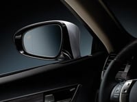 نقاط عمياء اصلية