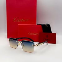 نظارة كارتير | SW 35