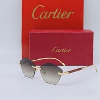 نظارة كارتير | SW 52