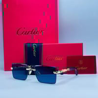 نظارة كارتير | SW 16