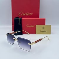 نظارة كارتير | SW 45