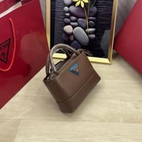 شنطة جس ميني بني