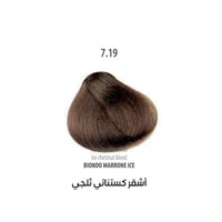 اشقر كستنائي ثلجي 7.19